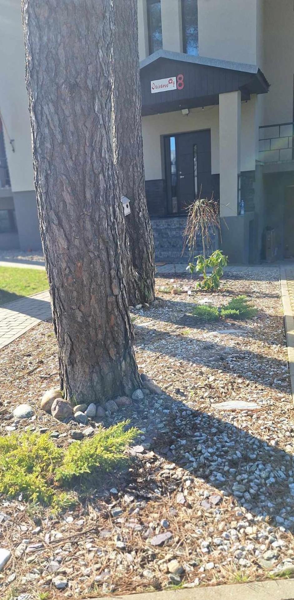 Dainavos Apartamentai דרוסקינינקאי מראה חיצוני תמונה